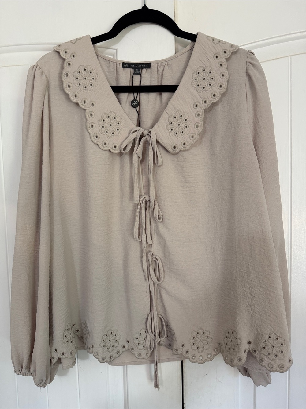 Adrianna Papell Taupe Eyelet-Trim Tie Front Blouse